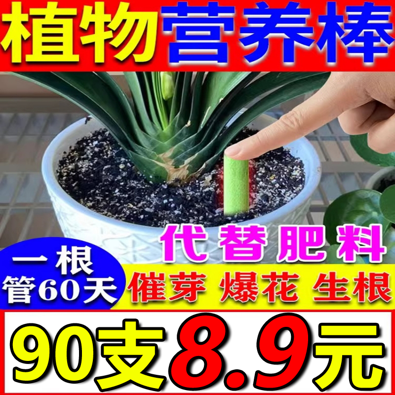 植物缓释营养棒控释营养颗粒肥氮磷钾复合肥缓释片促进开花的肥料 鲜花速递/花卉仿真/绿植园艺 家庭园艺肥料 原图主图