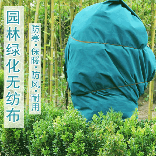 大树保温保湿布缠树布裹树布棉布