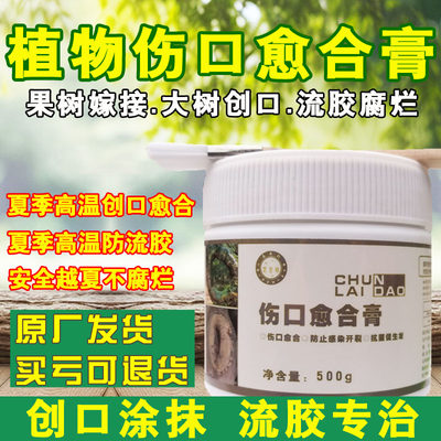 涂抹剂植物愈合大树修复膏促愈合