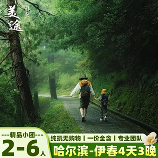 东北哈尔滨伊春旅游4天3晚纯玩团打卡小兴安岭走进林都深呼吸