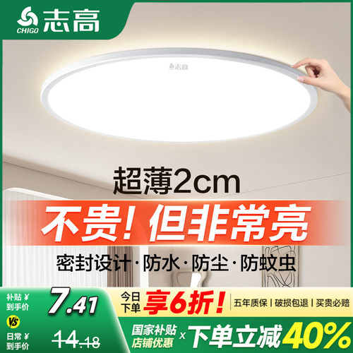 志高防蚊虫全光谱卧室房间吸顶灯