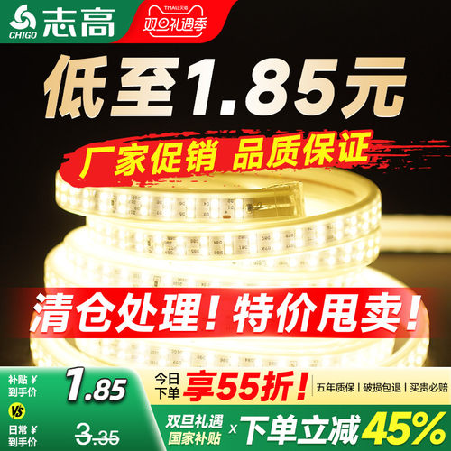 志高LED灯带双排超亮防水软胶灯