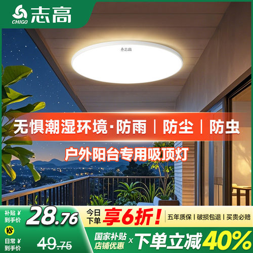 志高阳台专用防虫防尘防潮吸顶灯