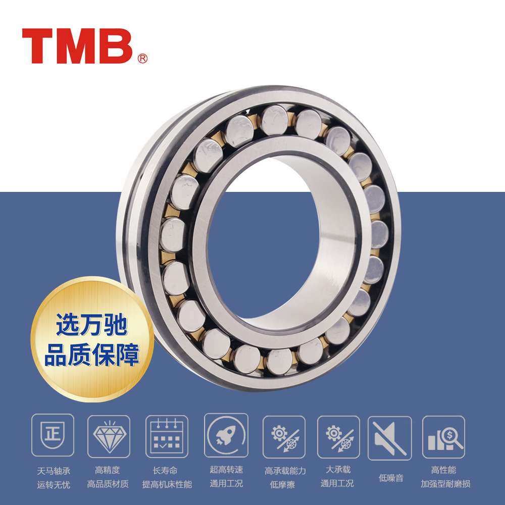 TMB/天马轴承NN3020K/P4W33(HS精密)精密机床双列圆柱滚子轴承