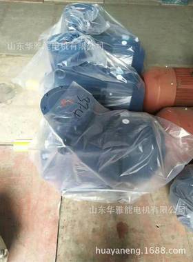 制动YE4EJ-225M-2-45KW电机制动Y2EJ电机双出线口双填料函配置