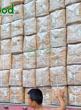 sangro桑格罗智利水苔水草热带植物生态缸蝴蝶兰基质格美特七星草