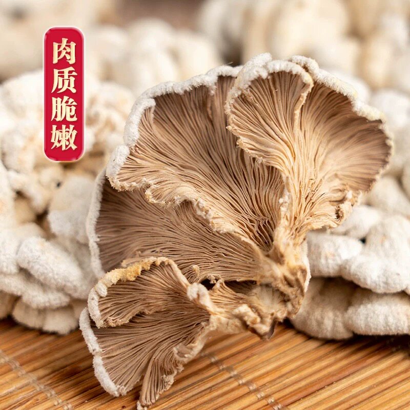 参说菇精选新货白参菌片干货片黄有根无添加绿色食品原产地直发