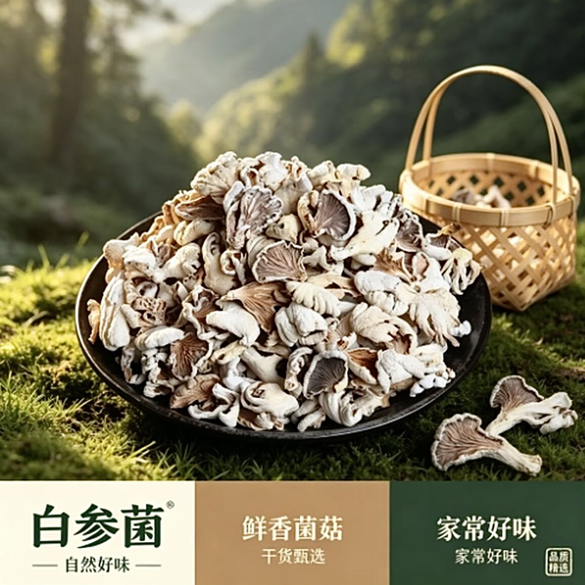 参说菇精选新货干白参菌片大白片有根无添加绿色食品原产地直发