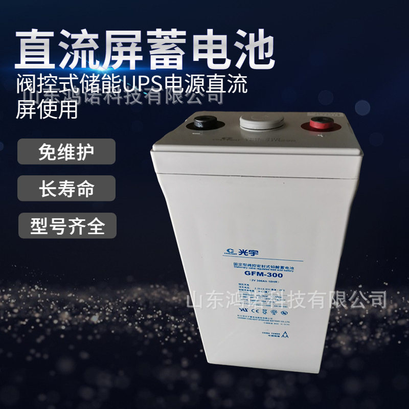光宇蓄电池GFM-300 免维护2V300AH 电力直流屏UPS/EPS电源电瓶