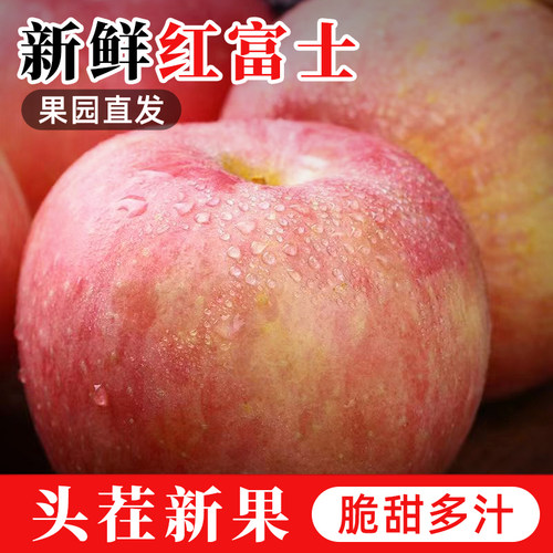 陕西红富士苹果脆甜多汁头茬新果