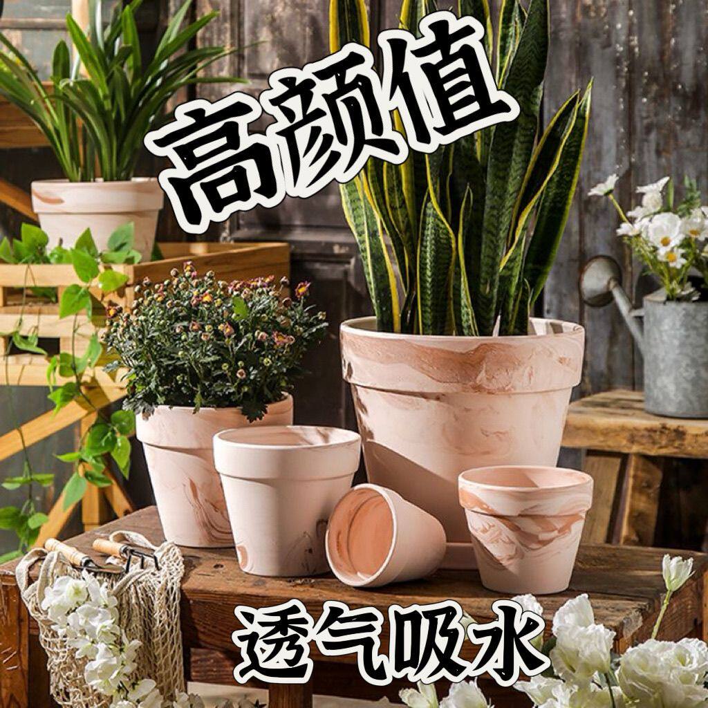 新疆包邮玛奇朵花盆清仓
