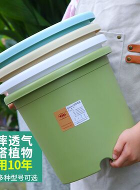 新疆包邮三代加仑盆兰花