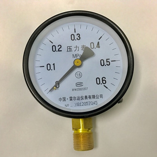 100 普通压力表 中 国·雷尔达仪表有限公司 0.6mpa
