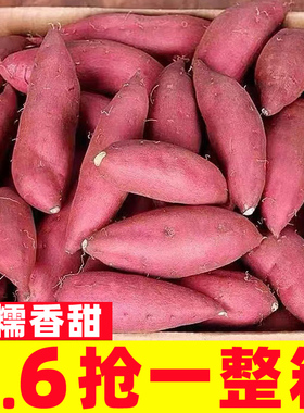新鲜蜜薯10斤板栗红薯沙地糖心地瓜农家自种番薯烟薯25号香薯山芋