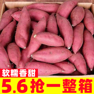 新鲜蜜薯10斤板栗红薯沙地