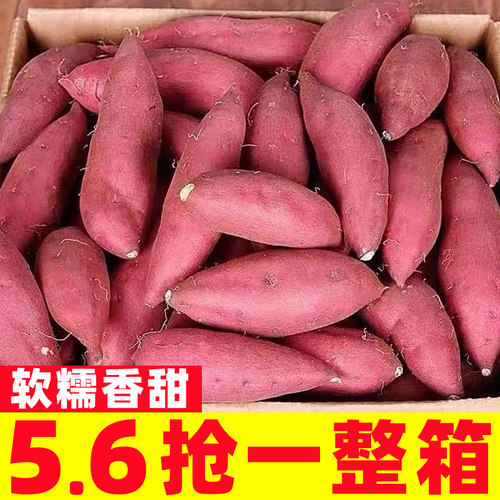 新鲜蜜薯10斤板栗红薯沙地