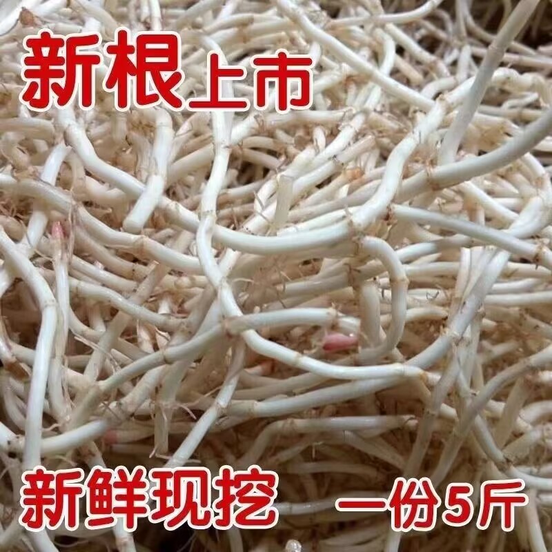 贵州特产农家菜野菜新鲜生鲜