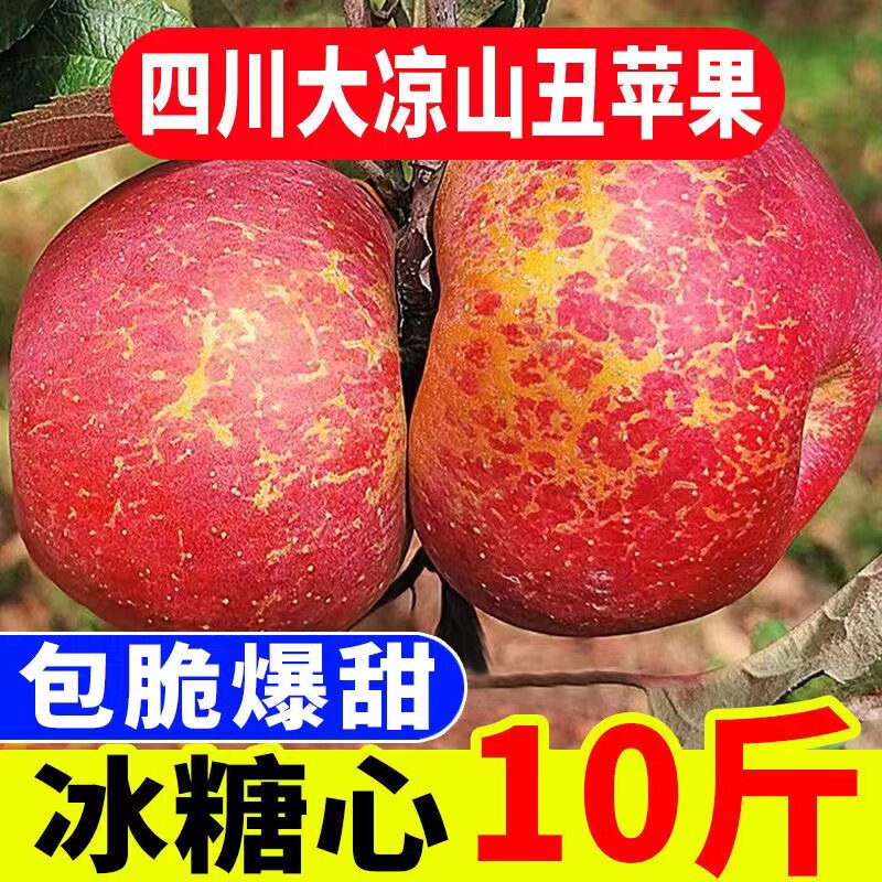 大凉山冰糖心丑苹果水果当季