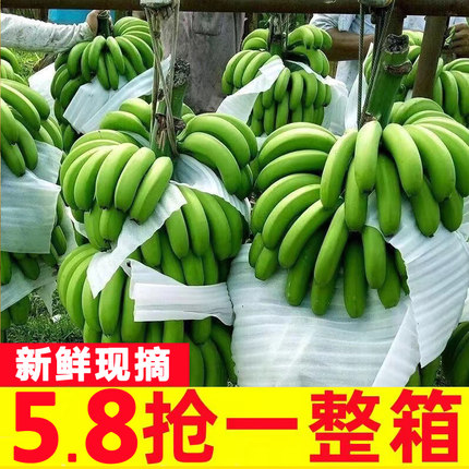 高山甜香蕉新鲜9斤水果当季现摘芭蕉小米蕉大香焦批发整箱自然熟