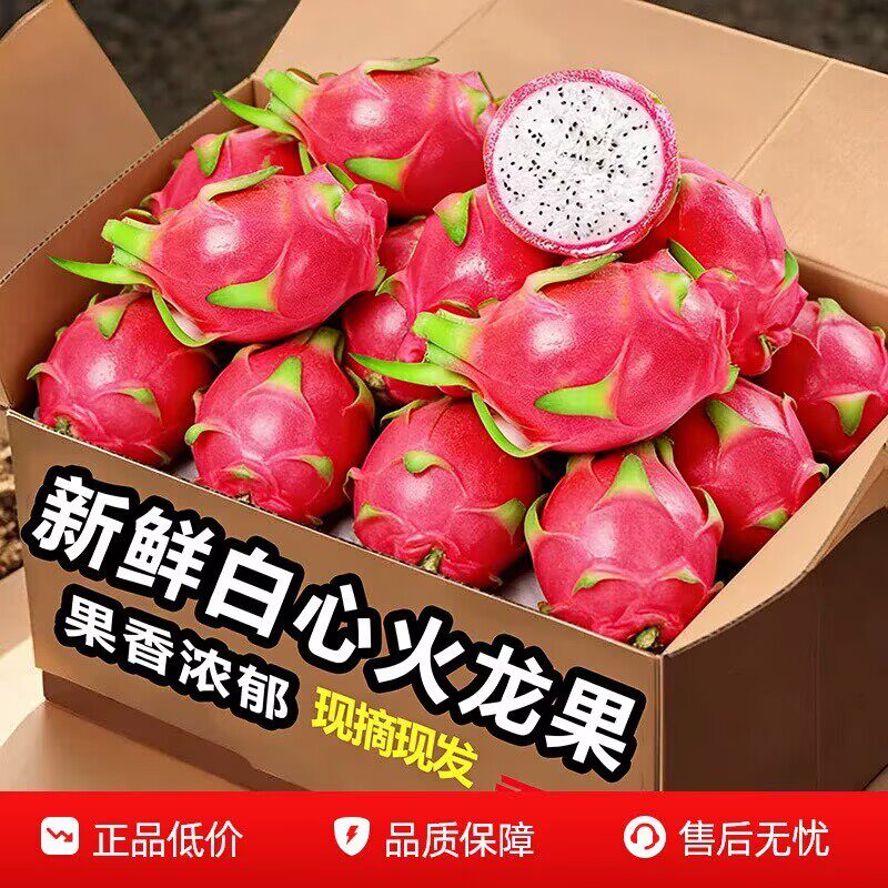 白心火龙果整箱包邮应季热带