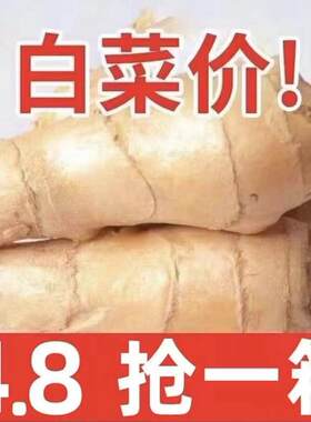 山东老姜10斤大黄姜风干月子姜