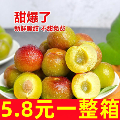 四川茵红李脱骨李子新鲜青红脆
