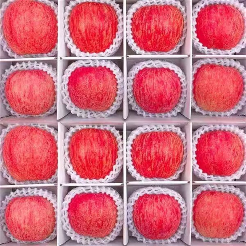 红富士苹果水果9斤新鲜山东栖霞平果丑苹果脆甜冰糖心脆甜,水产肉类/新鲜蔬果/熟食,苹果,淘宝优惠券,粉丝福利购,淘宝优惠卷