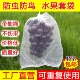水果套袋防鸟通用袋瓜果防虫专用袋无花果枇杷葡萄桃子草莓育苗袋