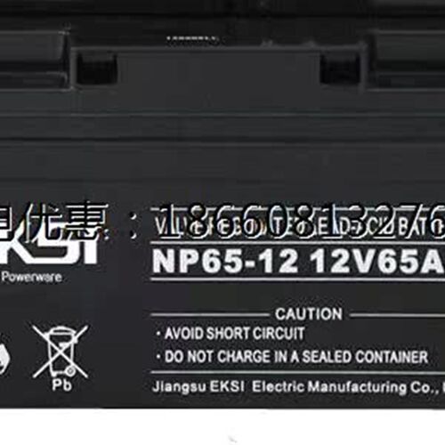 EKSI爱克赛蓄电池NP/EKO12V7AH1A7AH24AH38AH65AH100AH铅酸免维护