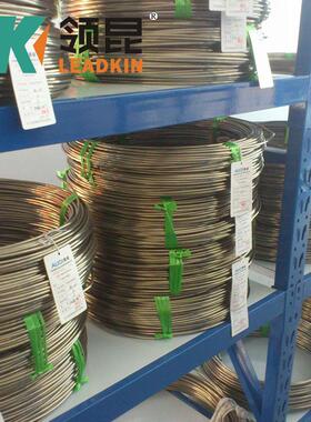 【热电偶】K型单支-外径3-310S材质-II级铠装热电偶丝