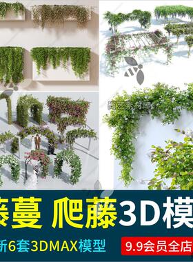 现代藤蔓爬藤绿植墙垂直绿化爬山虎攀爬垂吊植物悬挂植物3d模型库