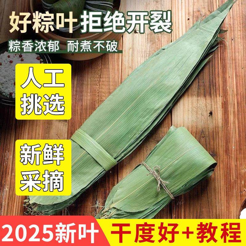 干粽叶包粽子专用新鲜大号棕绳旗舰店端午箬叶野生芦苇商材料