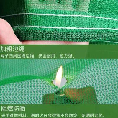 阻燃密目网建筑工地安全网外架防尘工程防护网格网加厚防护网绿色