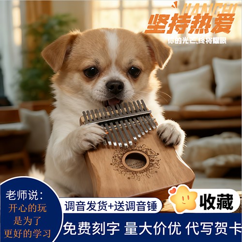 女生高颜值卡林巴网红拇指琴弹奏乐器小型琴类乐器小型冷门乐器琴