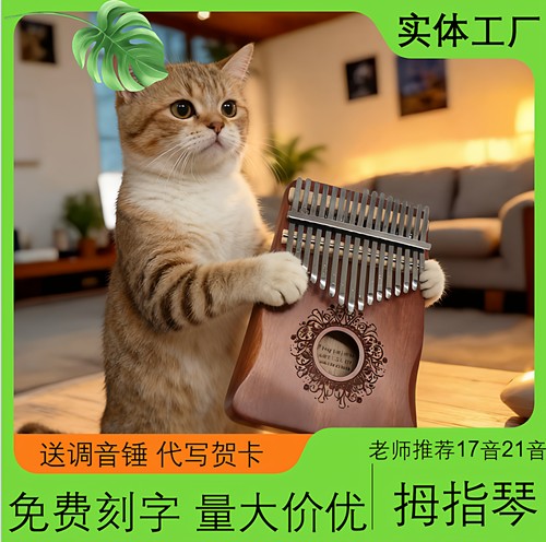 21音迷你高颜值木质拇指琴 调音锤刻字乐器女生礼物 17音卡林巴琴