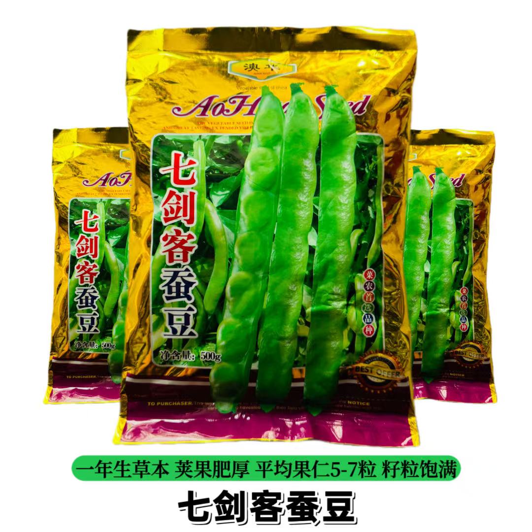 七剑客蚕豆种子农家南北七粒蚕豆胡豆种籽高产抗病罗汉豆蔬菜种孑