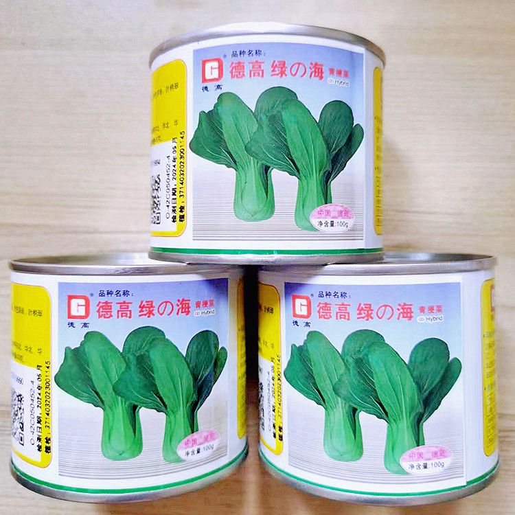 德高绿海青梗菜种子一代杂交耐热耐湿青梗菜种籽夏秋季抗热青菜种