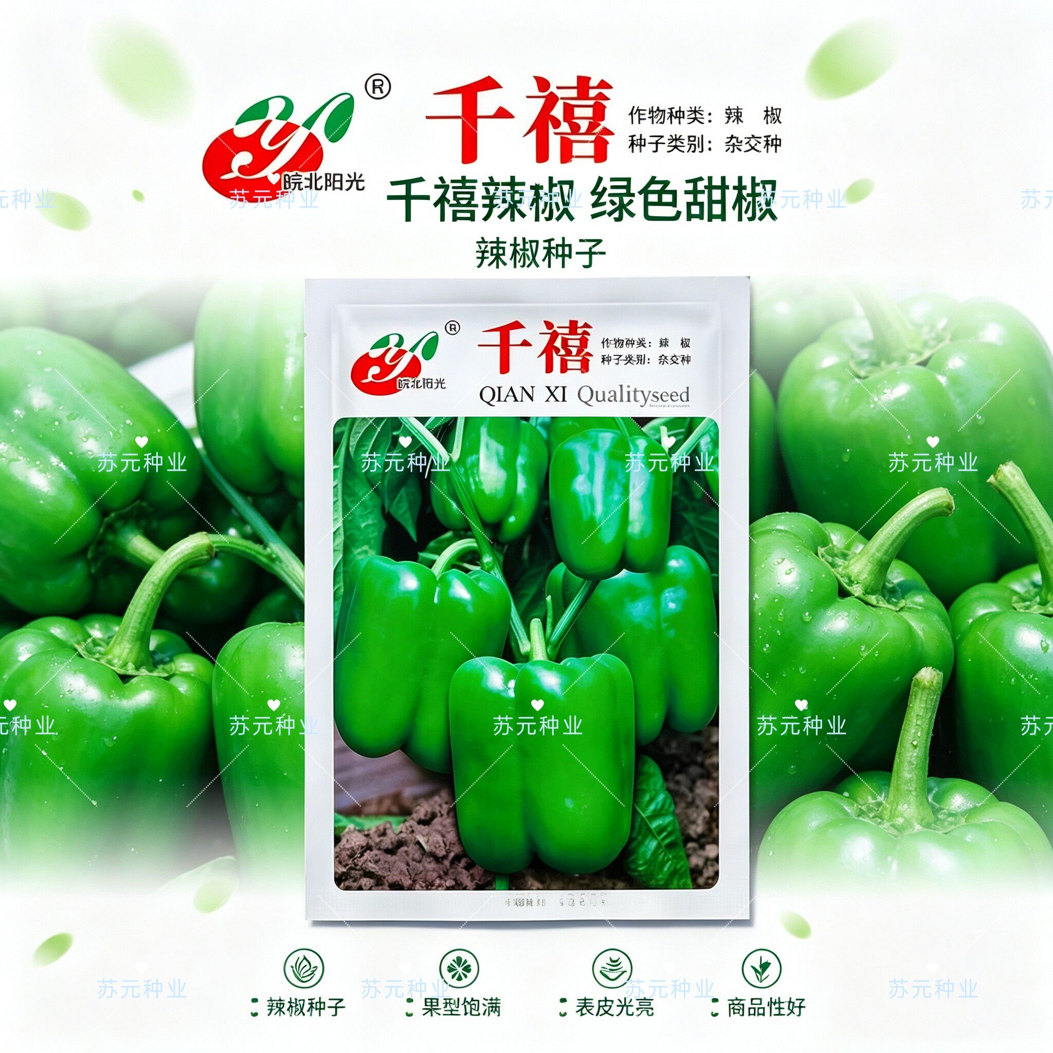 千禧甜椒种子早熟长圆形辣椒种子抗病耐湿热耐寒灯笼椒种子青椒籽