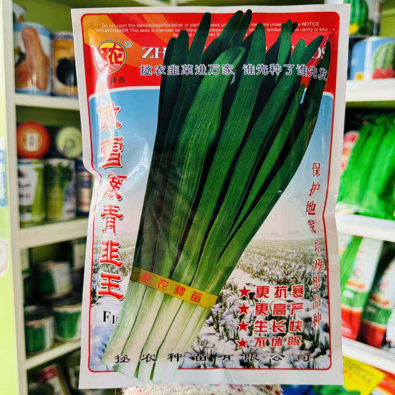 拯农傲雪寒青韭王种子不休眠高产抗病耐寒宽叶韭菜种籽农家大田播