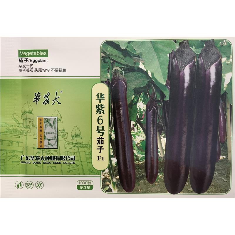 华农大华紫6号/8号茄子种子紫红烧烤茄子种籽大田基地春秋季播种