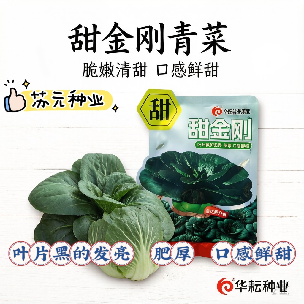 甜金刚青梗菜种子黑大头苏州青小青菜南北方农家大田菜园秋播甜糯