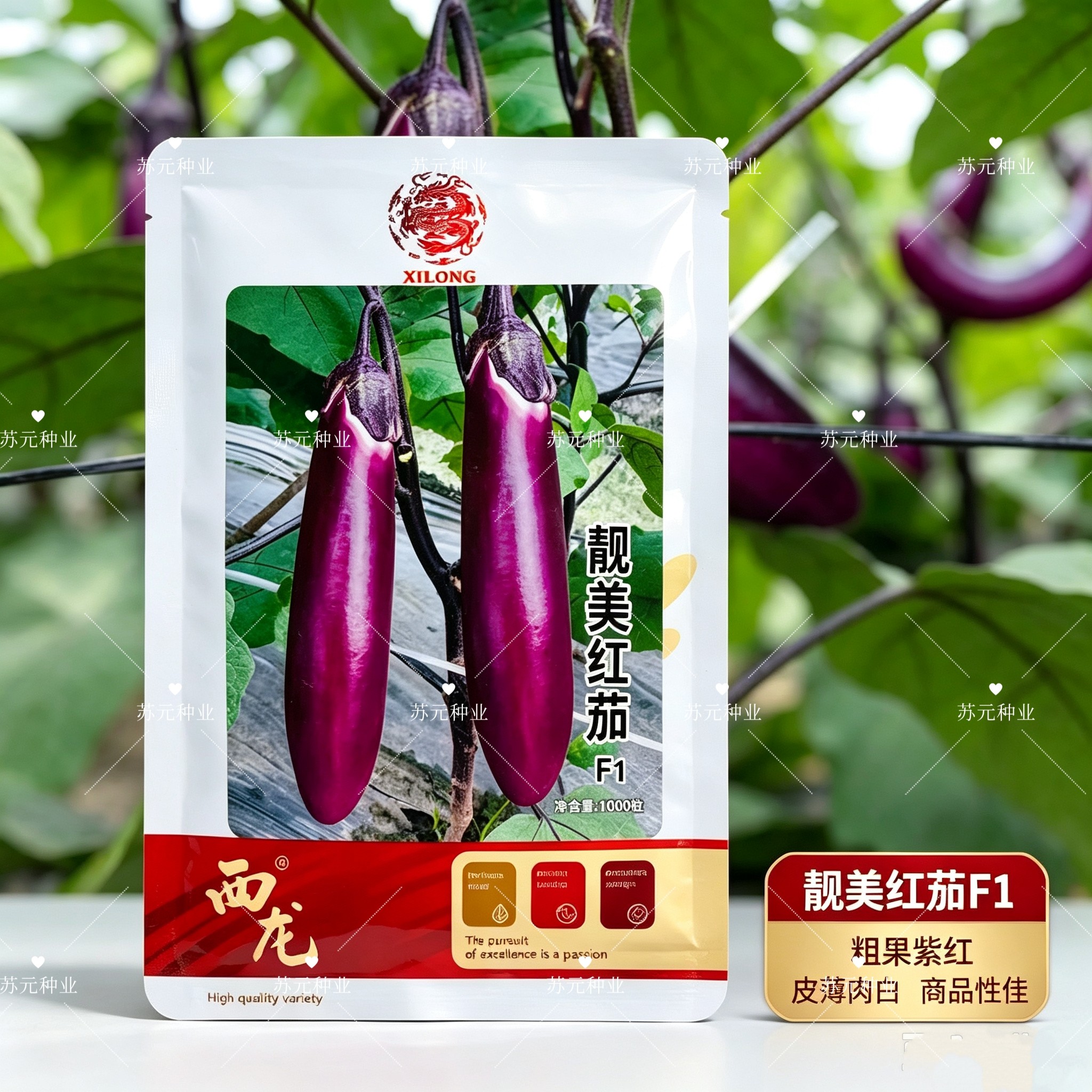 靓美红茄种子早熟短棒形紫红茄种籽抗病强耐贮运春秋播茄子种高产