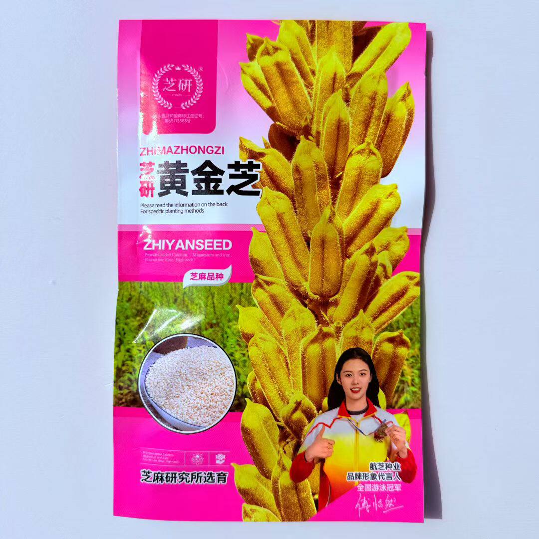 黄金芝芝麻种子高产抗病抗重茬耐旱抗病高产杂交芝麻种籽南北方春