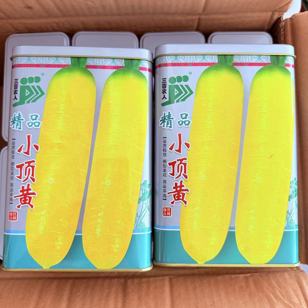 精品小顶黄胡萝卜种子汁多味甜肉质脆嫩胡萝卜种籽农家春秋季播种