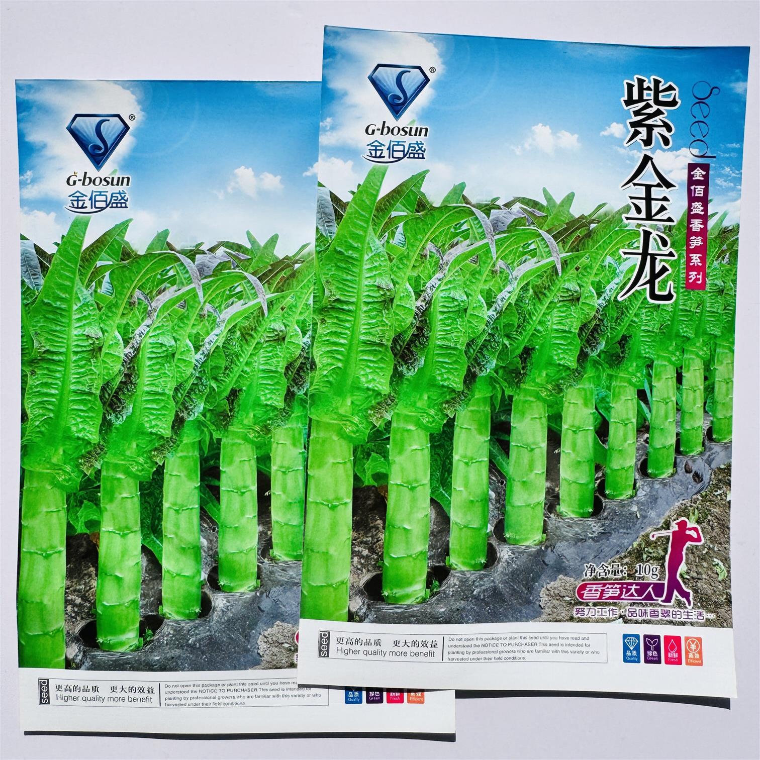 紫金龙尖叶莴笋种子茎长棒皮浅青肉嫩脆较抗寒秋冬早春种植