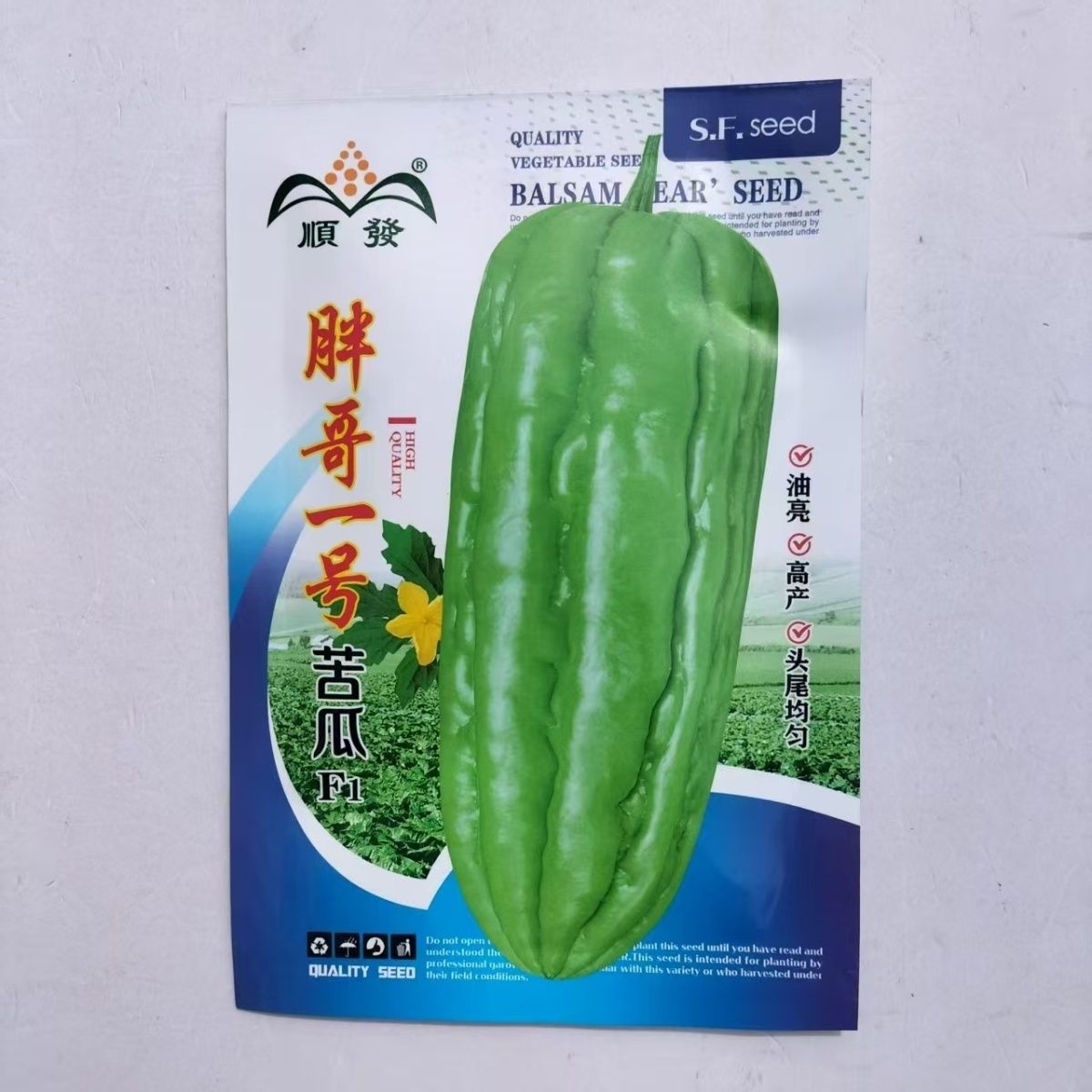 胖哥一号杂交中熟厚肉苦瓜种子颜色油绿略白有光泽瓜实耐裂耐高温