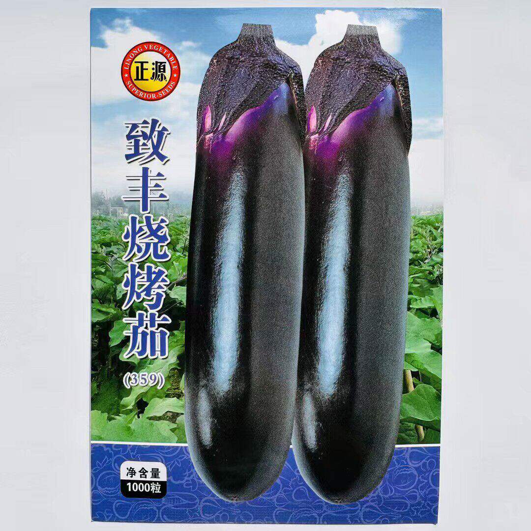 正源致丰烧烤茄种子中晚熟春秋紫黑长茄种籽白肉耐热蔬菜茄子种籽