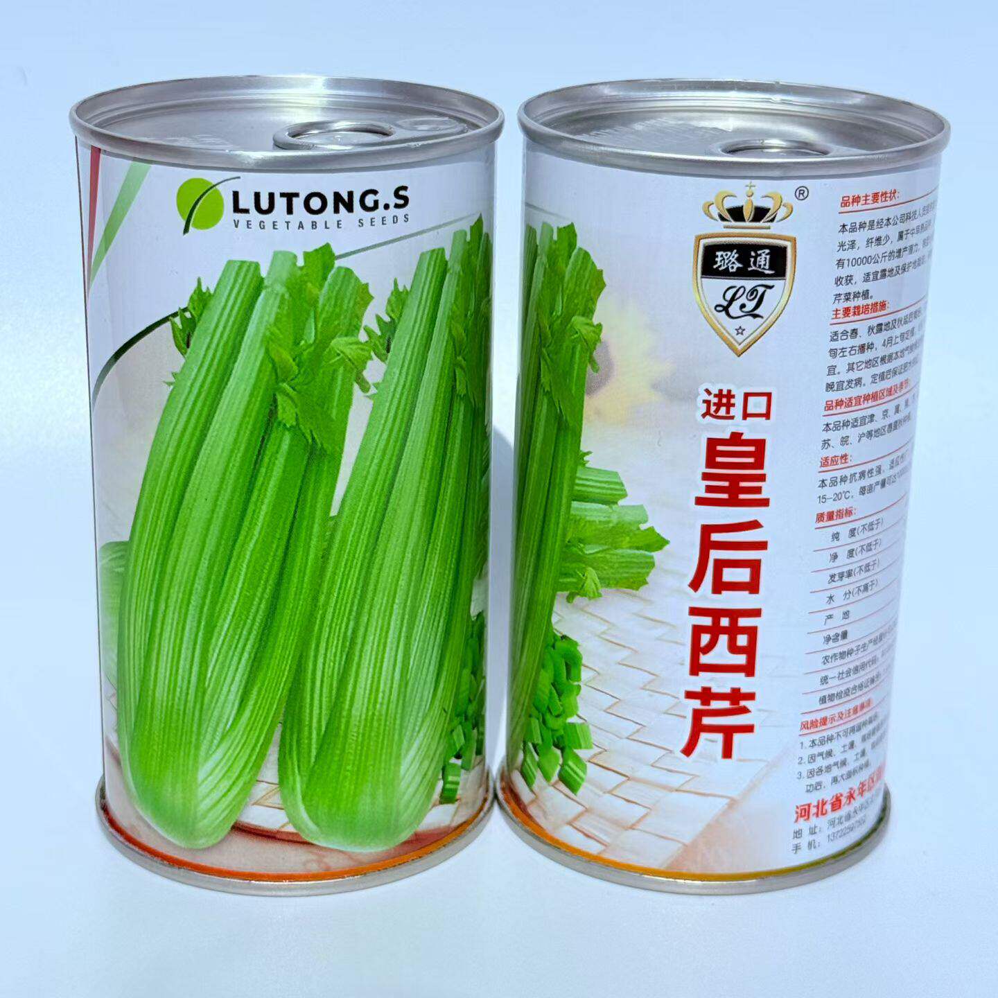 进口皇后西芹种子蔬菜孑家庭阳台小院盆栽四季抗病大肉芹菜籽