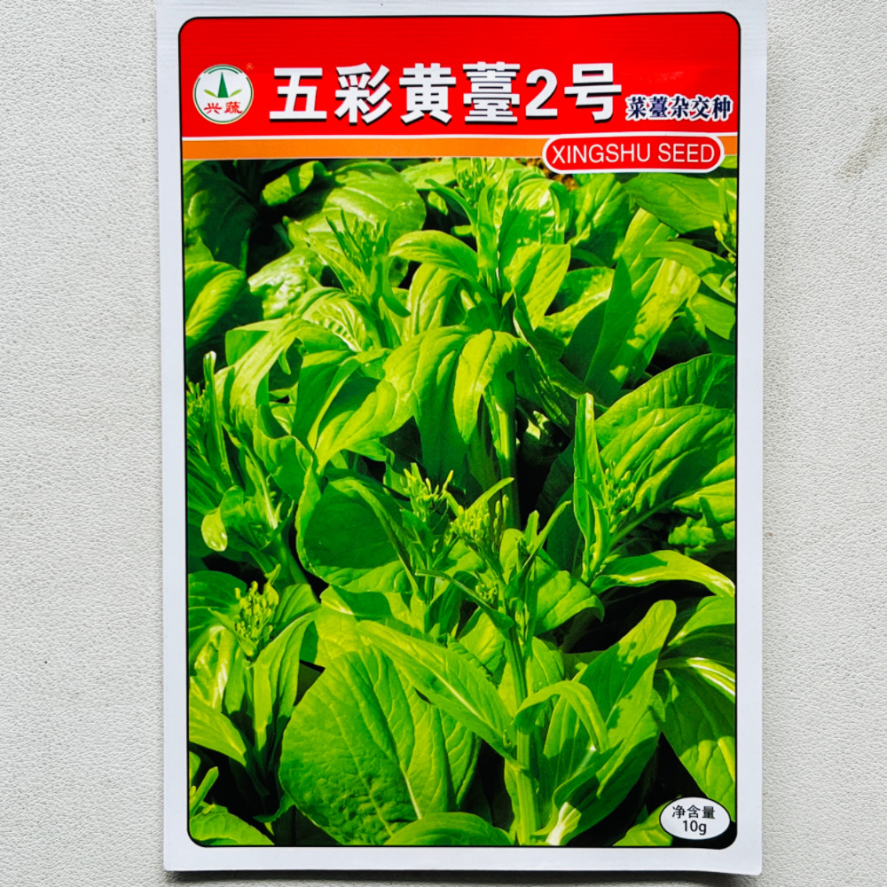 兴蔬五彩黄薹2号白菜苔种子 中早熟60天采收 菜苔浅黄绿色 产量高