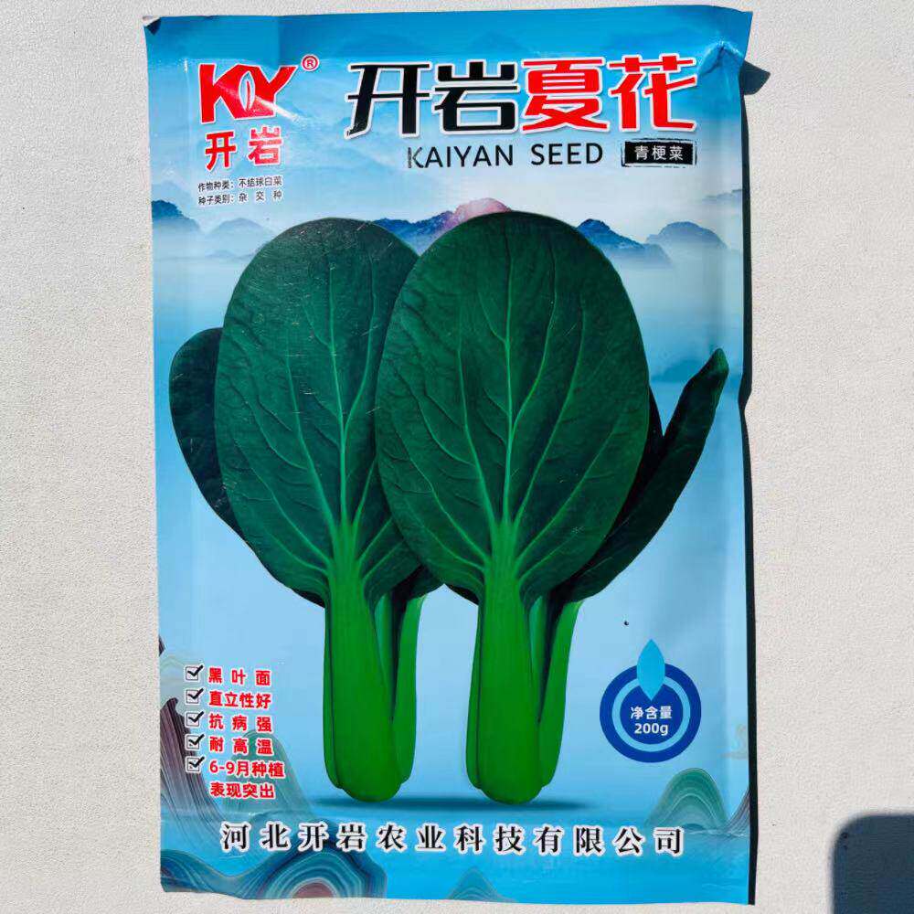 开岩夏花青梗菜种子叶片大颜色深绿色杂交一代耐热不易拔节青菜